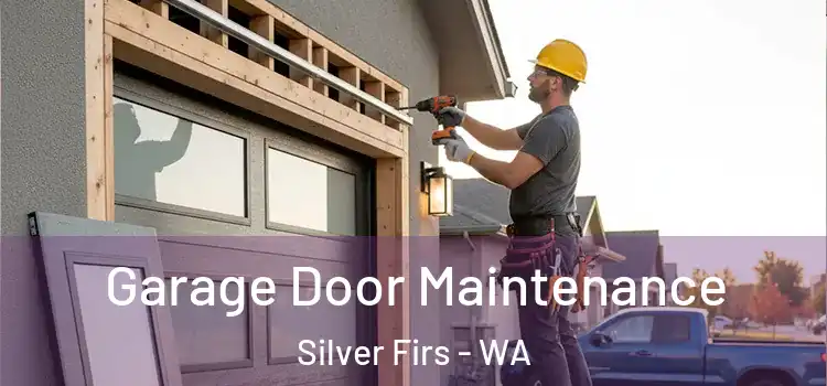  Garage Door Maintenance Silver Firs - WA